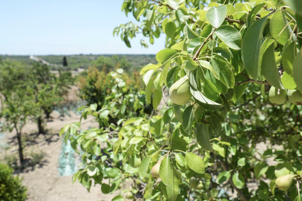Jardinu Guest House Noto Bagian luar foto
