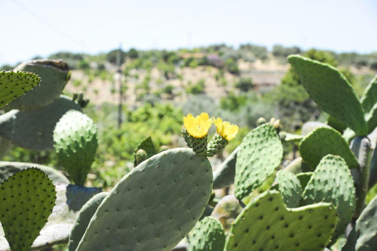 Jardinu Guest House Noto Bagian luar foto