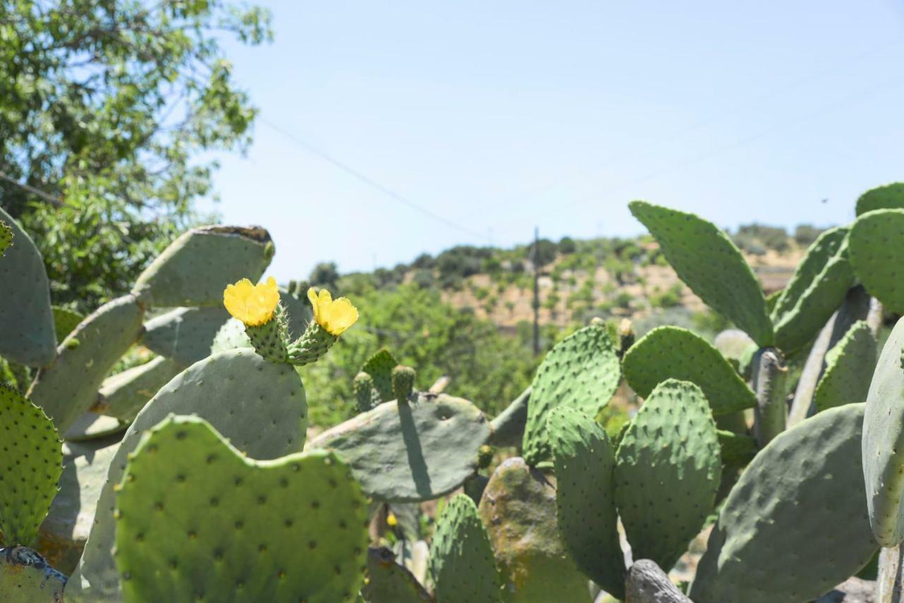 Jardinu Guest House Noto Bagian luar foto